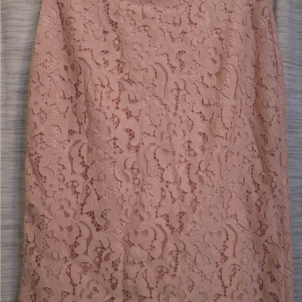 Rachel Parcell Blush Lace Pencil Skirt